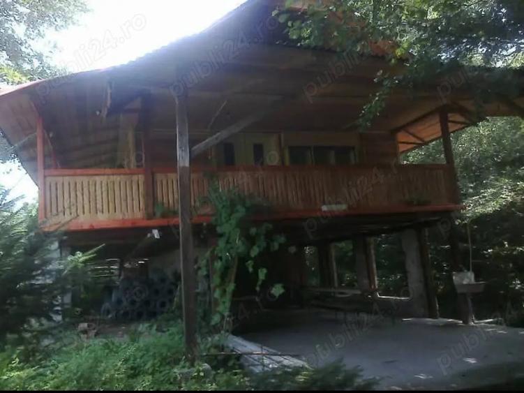 Teren de 80000 mp, în Susani