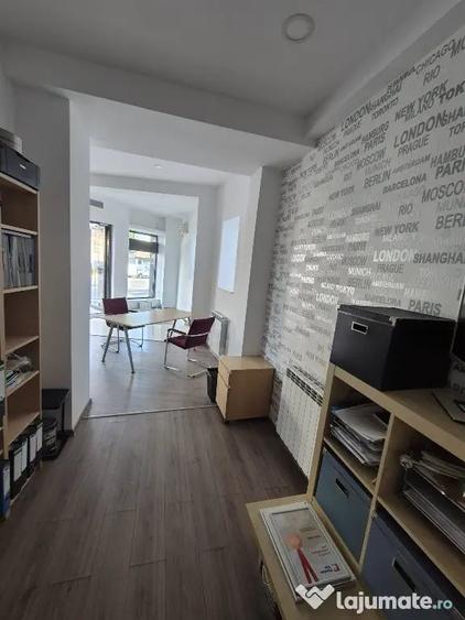 Proprietar,sp.comercial,cabinet,salon,agentie,Tineretului-Parcul Carol - 8