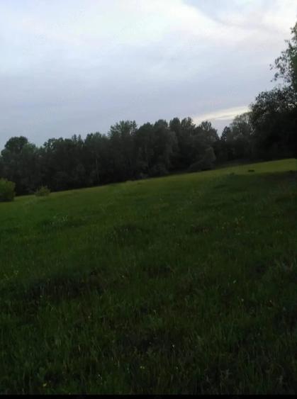 Teren de 5000 mp, în Racovița