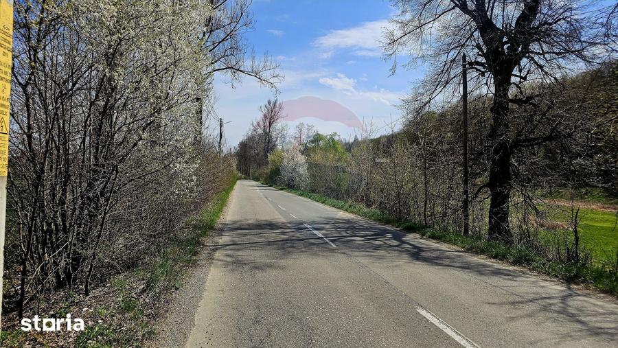 Teren de 10000 mp, în Vânători-Neamț