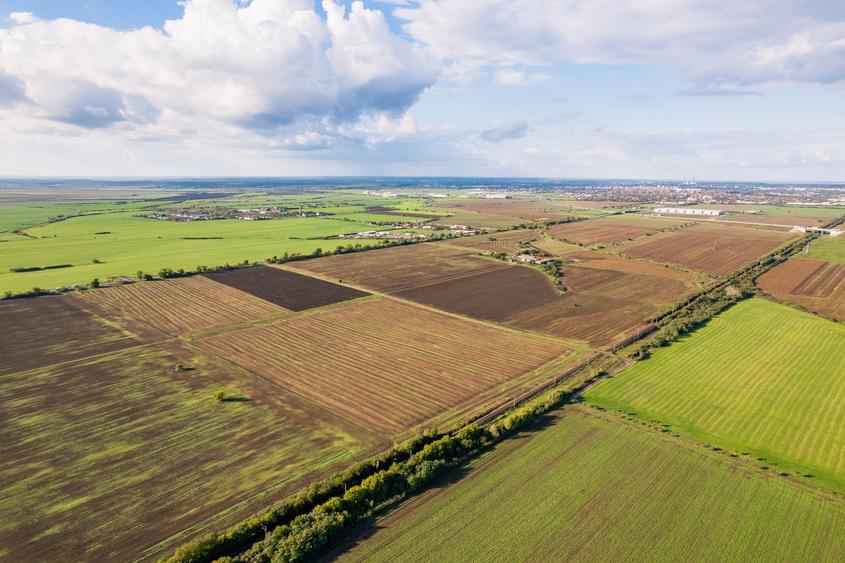 Teren agricol extravilan de 50000 mp, în Sud