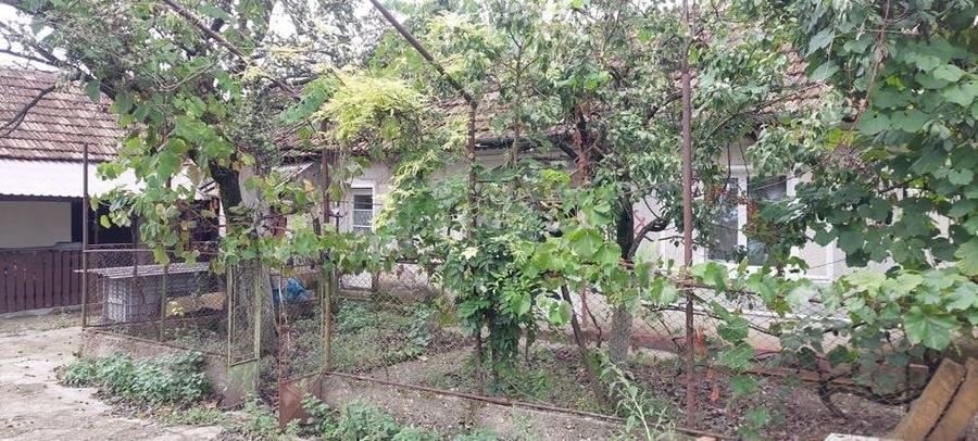 Casă cu 4 camere în Cohani