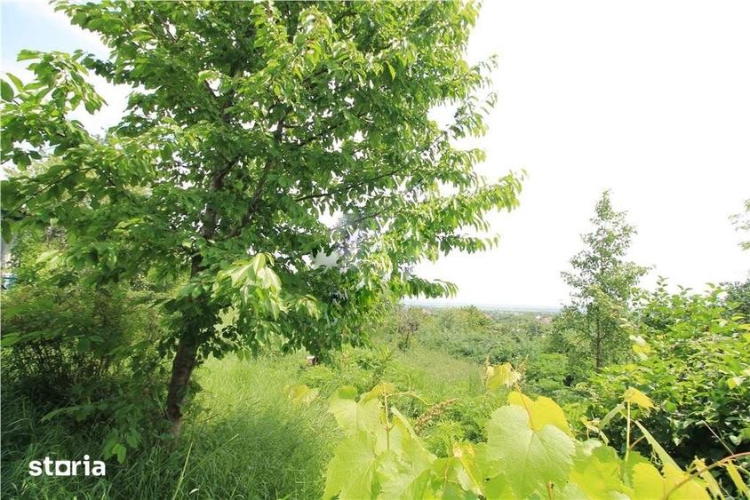 Casă cu 3 camere cu Teren 3700 Mp în Comarna