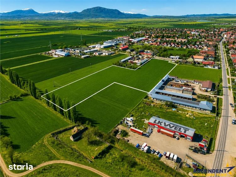 Teren de 10000 mp, în Hălchiu