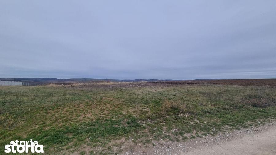 Teren de 2026 mp, în Paleu