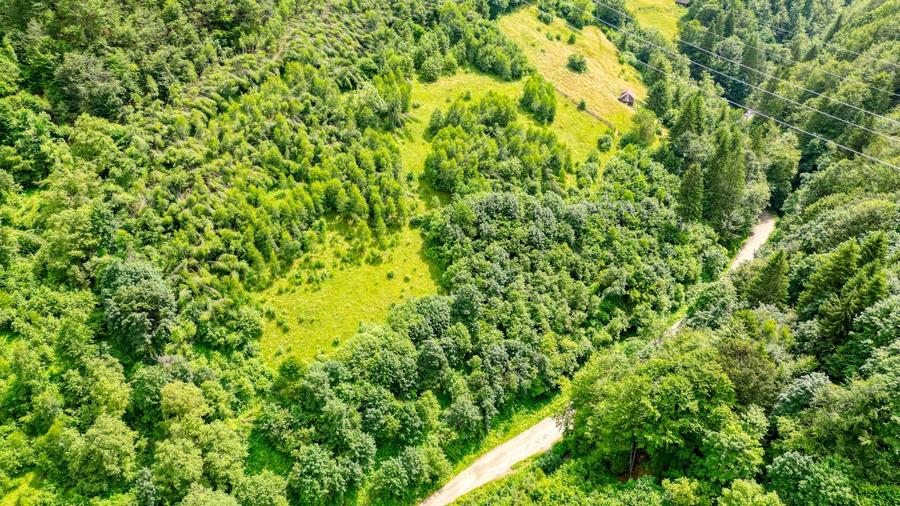 Teren agricol extravilan de 31733 mp, în Moieciu de Jos