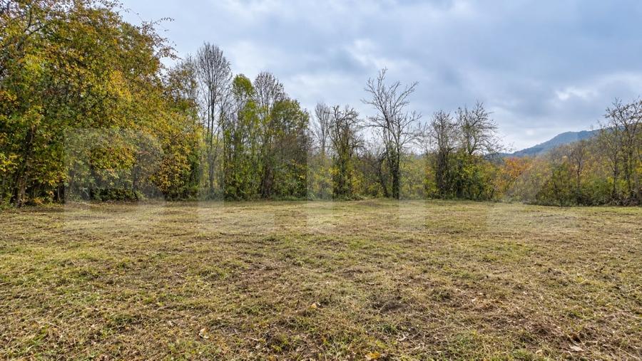 Teren agricol intravilan de 4950 mp, în Toplița Mureșului