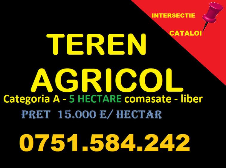 TEREN AGRICOL- categoria A - CATALOI - 1
