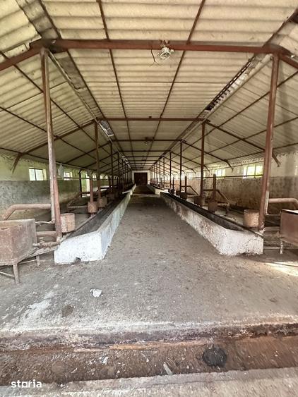 Se vinde Proprietate Premium 11,5 ha teren intravilan si constructii - 3