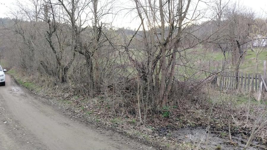 Teren de 4200 mp, în Bisoca