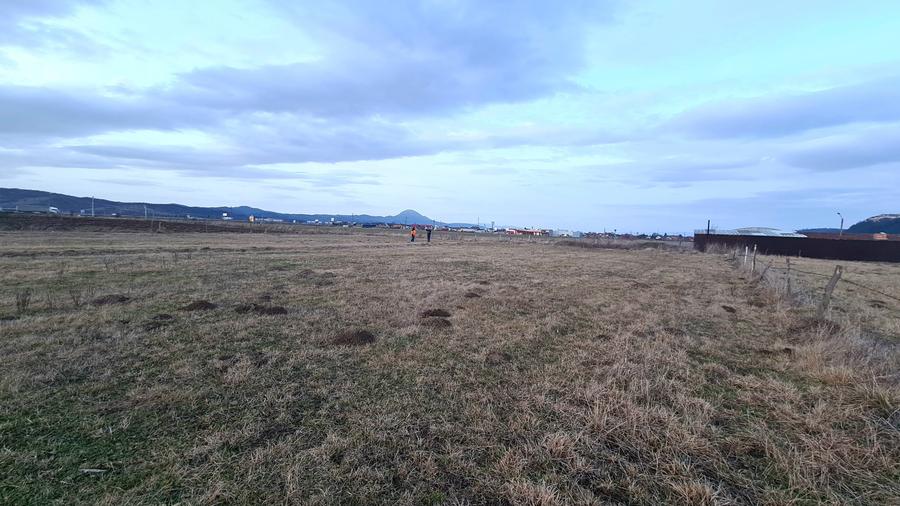 Teren Construcții intravilan de 1049 mp, în Pănicel