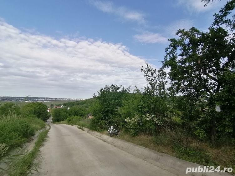 Teren de 5000 mp, în Uricani