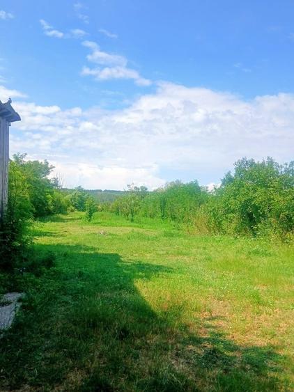Casă cu 4 camere în Coada Izvorului