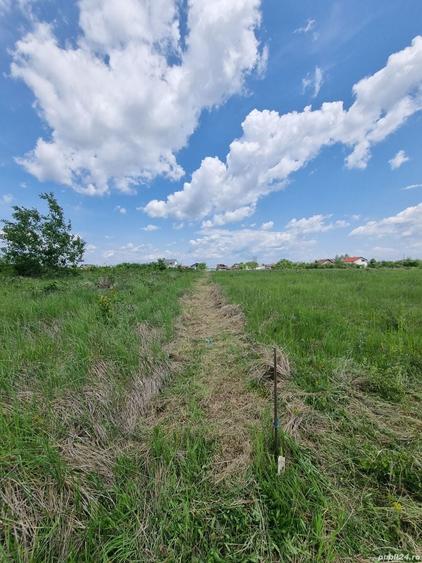Teren de 631 mp, în Hințești