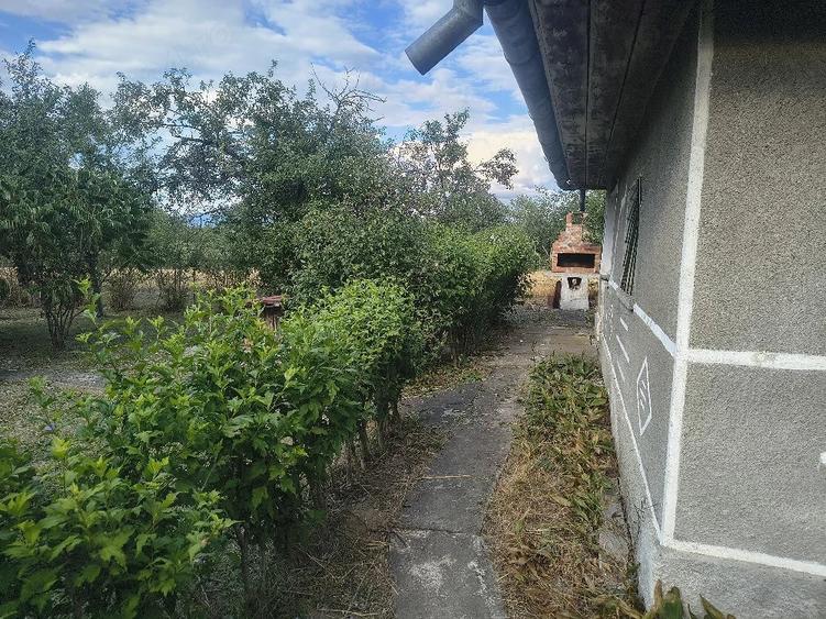 Teren de 6000 mp, în Bocsig