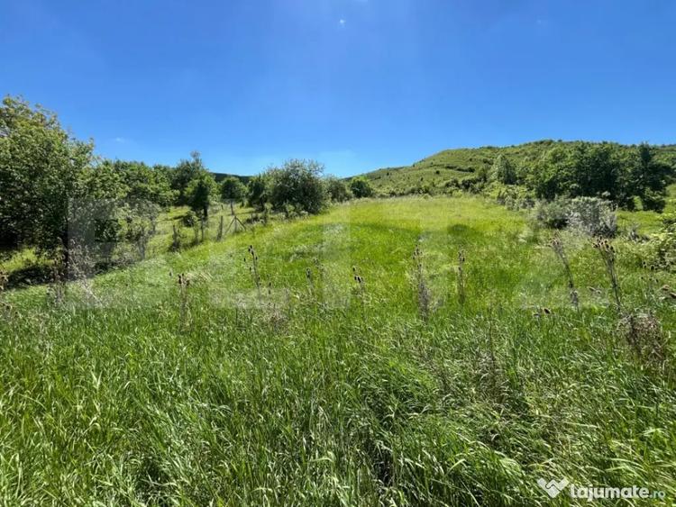 Casă cu 4 camere cu Teren 1900 Mp în Central