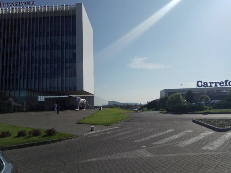 Birou, de 950 mp, în Nufărul
