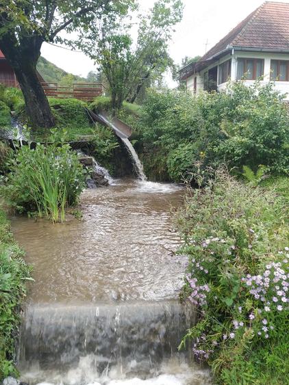 Casă cu Teren 10000 Mp în Bulzeștii de Jos