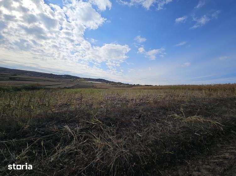 Teren de 1400 mp, în Chinteni