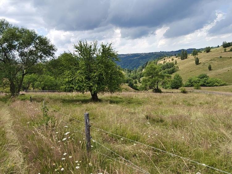 Teren de 4200 mp, în Măguri