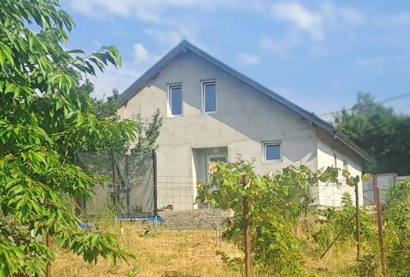 Casă cu 5 camere în Băiceni