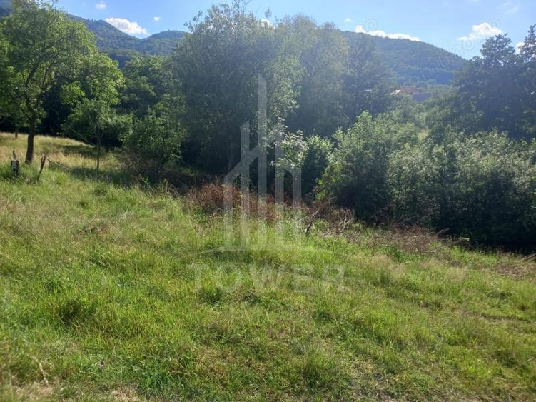 Teren de 3673 mp, în Fântânele
