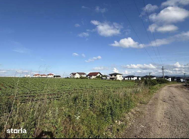 Teren de 8445 mp, în Rediu