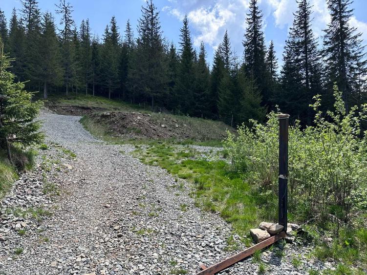 Teren de 1000 mp, în Muntele Băișorii