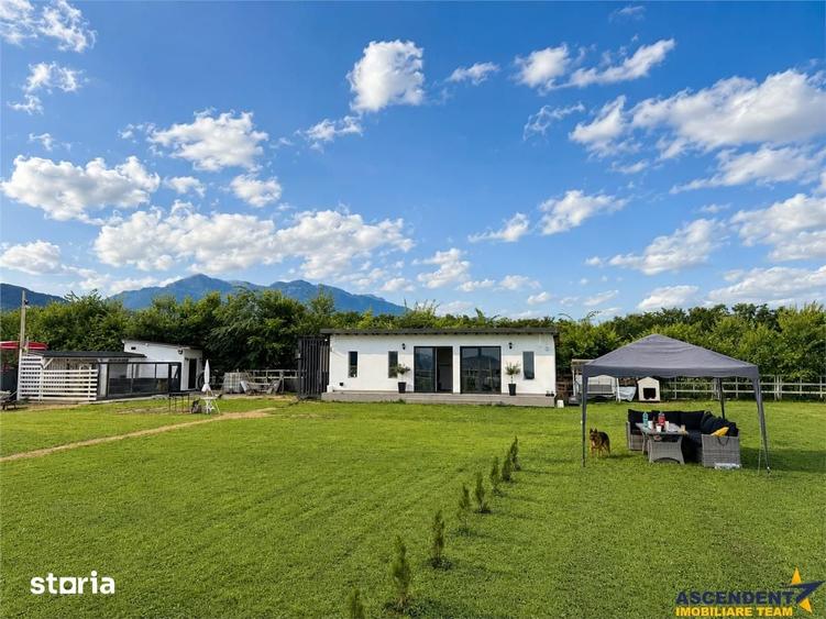 Cabana moderna, teren 1.640 mp, foisor, gratar, atmosfera de vacanta, - 4