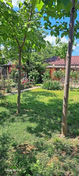 Casă cu 3 camere cu Teren 900 Mp în Dimieni