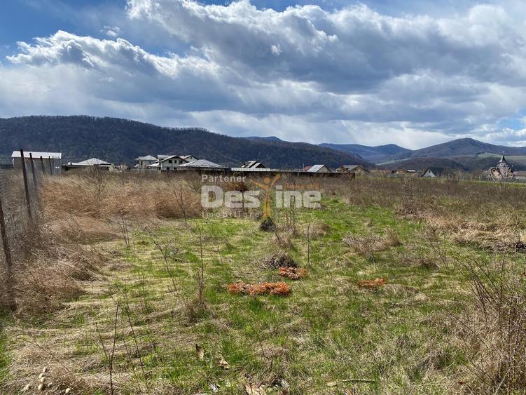 Teren Construcții intravilan de 900 mp, în Dumbrava Roșie