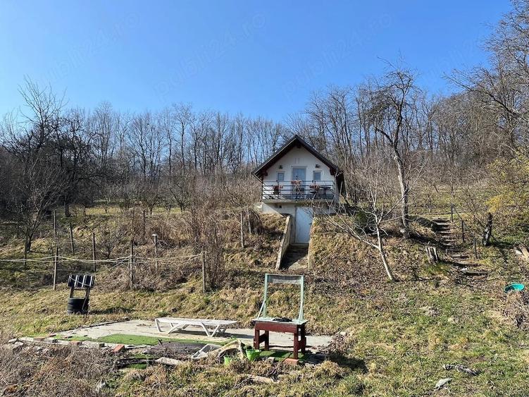 Casă cu Teren 7800 Mp în Ibănești