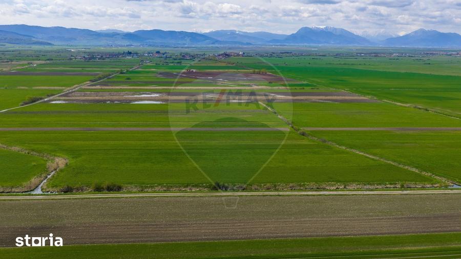 Teren de 4000 mp, în Prejmer