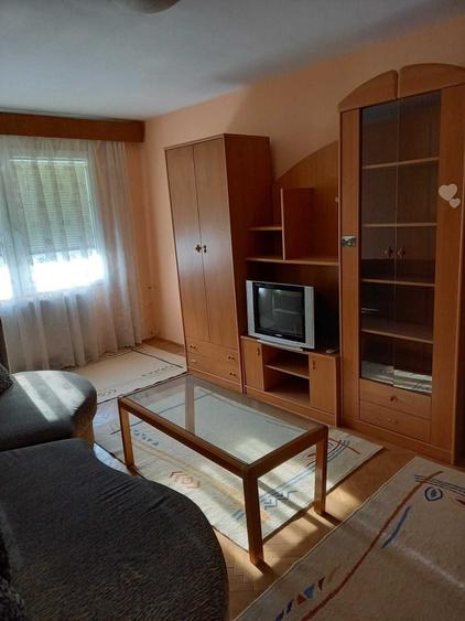 Apartament cu 2 camere decomandat în Rudicica