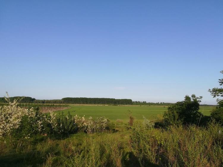 Teren intravilan de constructii, Chiscani, St - 2200 mp, deschidere 50 m - 1