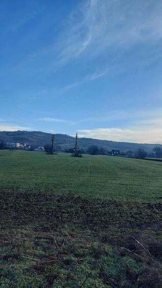 Teren de 4730 mp, în Boldești