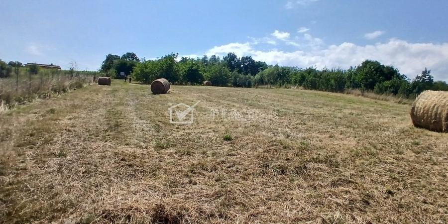 Casa in Comsesti cu teren intravilan 1800mp, acces bun - 2