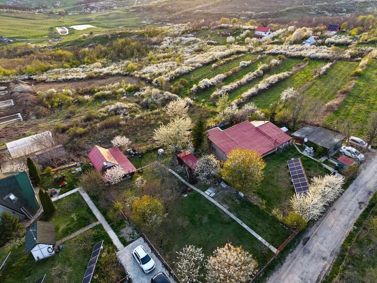 Teren de 900 mp, în Central