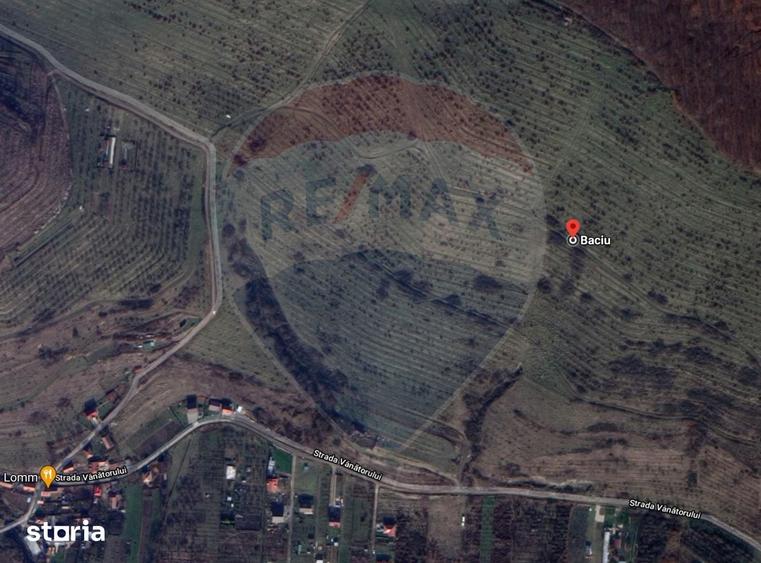 Teren de 11000 mp, în Mera