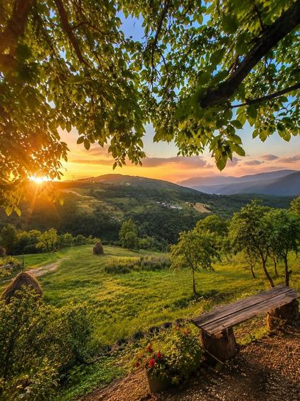 Teren de 30000 mp, în Muntele Rece