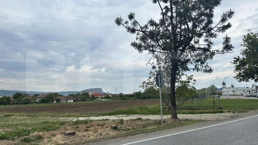 Teren Construcții intravilan de 6109 mp, în Simeria