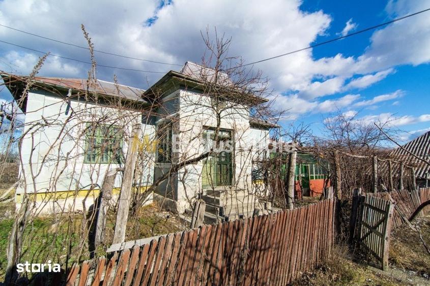 Casă cu 3 camere cu Teren 4145 Mp în Vedea