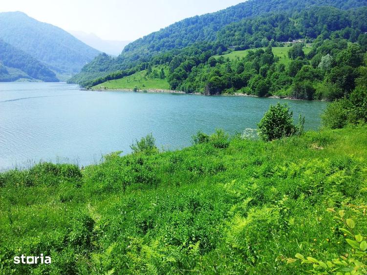 Teren de 73000 mp, în Siriu