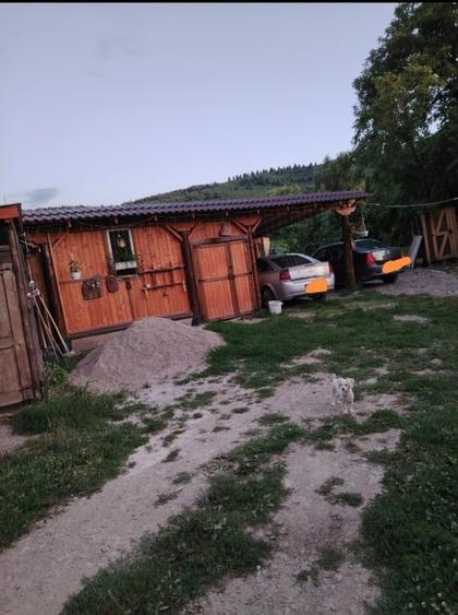 Casă individuală cu 4 camere cu Teren 2840 Mp în Boroșneu Mare