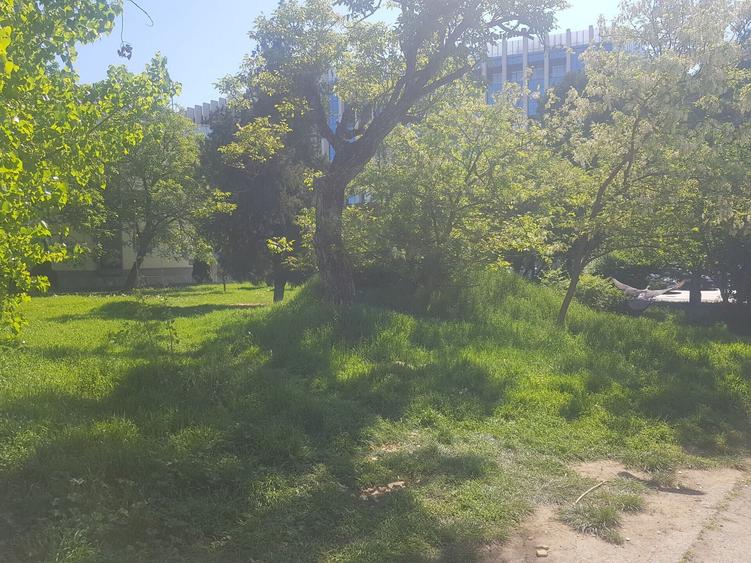 Teren intravilan de 719 mp, în Take Ionescu