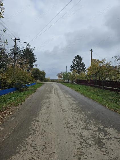 Teren de 18469 mp, în Butimanu
