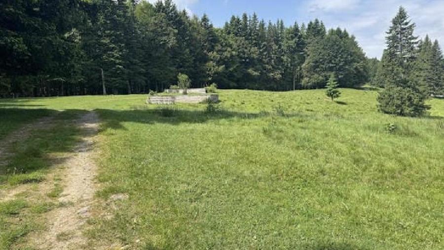 Teren agricol intravilan de 6000 mp, în Nord