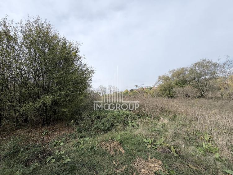 Teren Construcții intravilan de 4400 mp, în Cămărașu