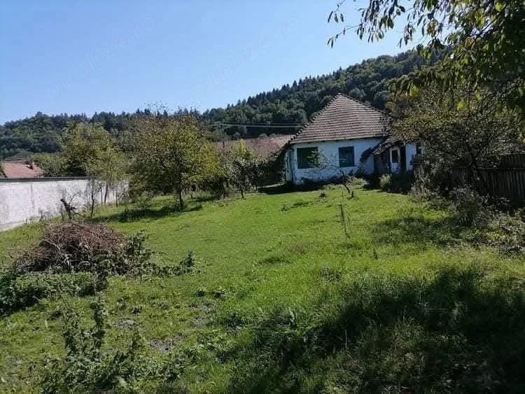 Teren de 600 mp, în Central