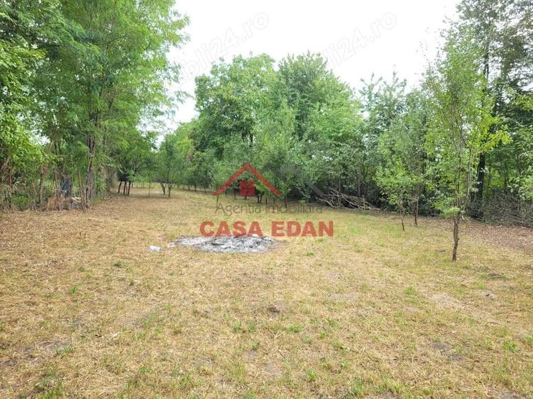 Casă cu Teren 2093 Mp în Bănești